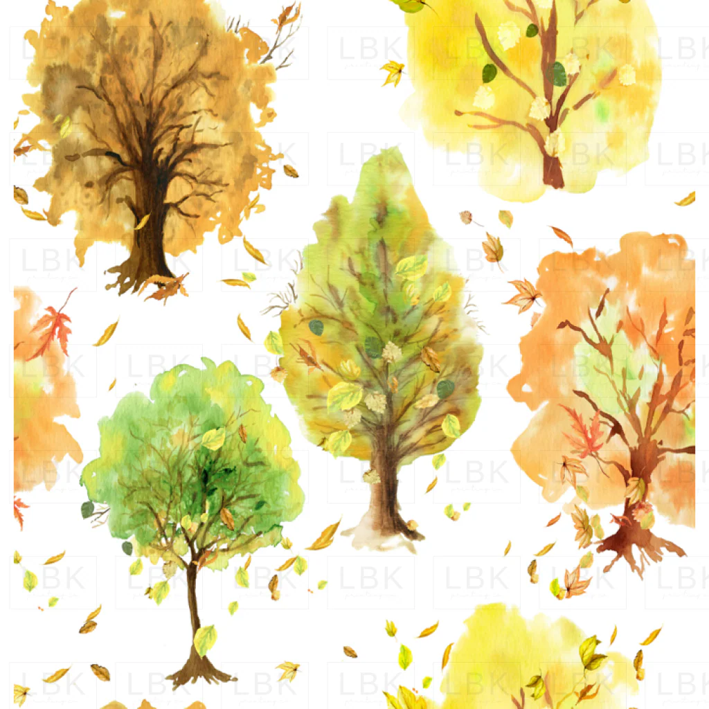 Autumn Fall Foliage Trees