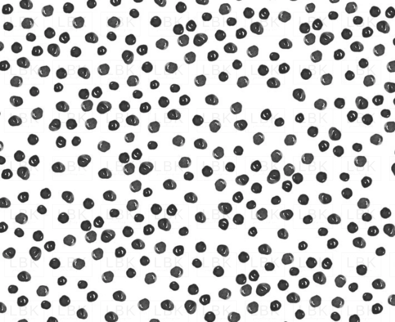 BohoDots BlackWhite