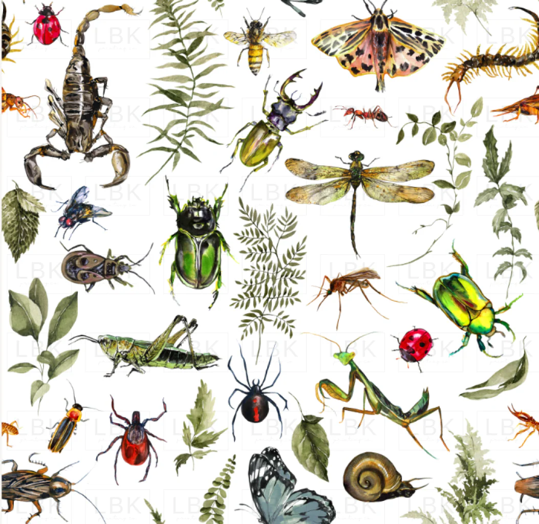 Bug House