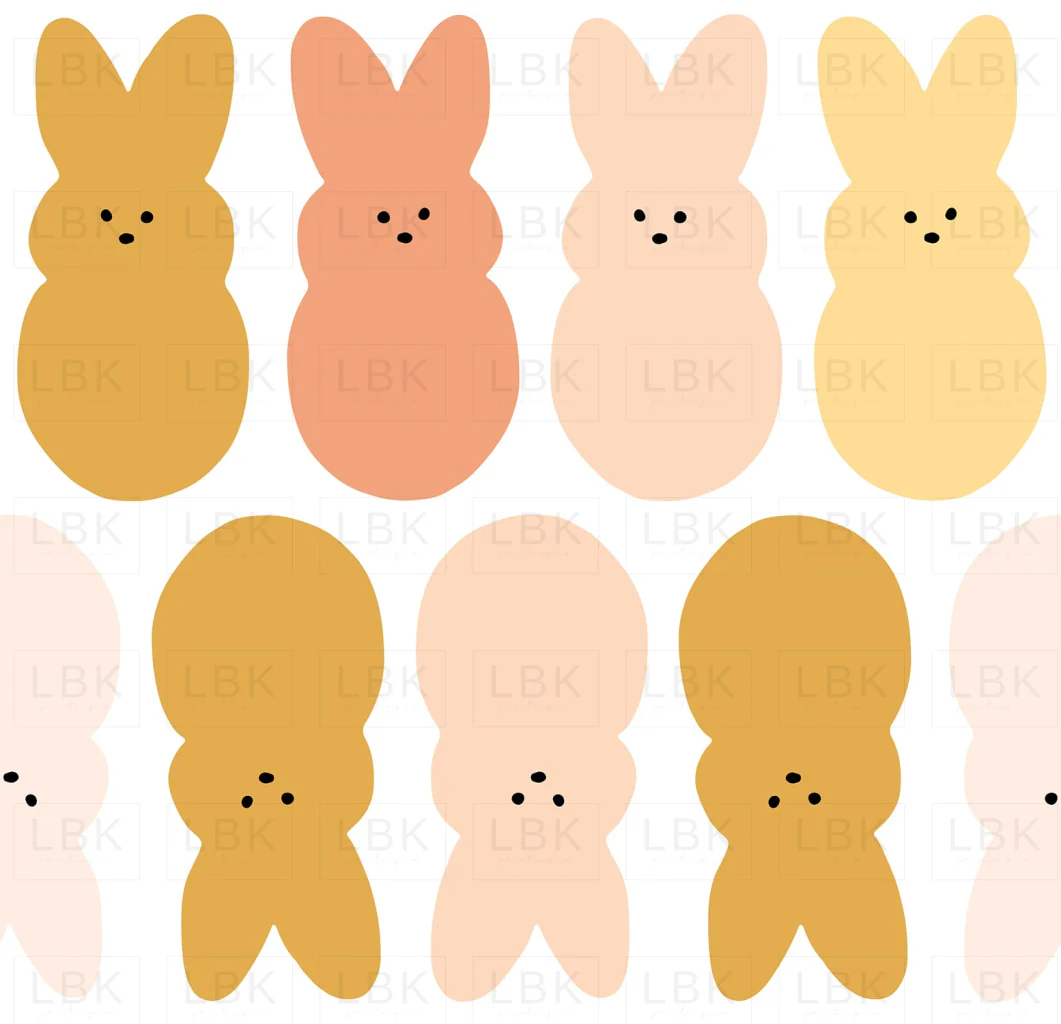 Bunnies in Sunshine
