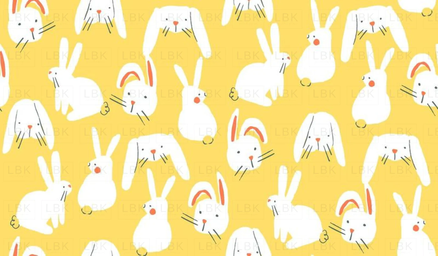 Bunnies-in-sunshine 9