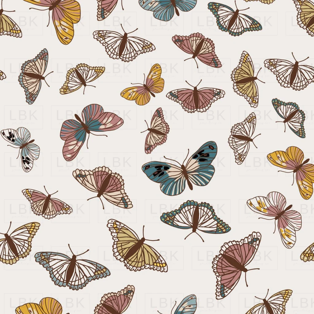 Butterfly in White