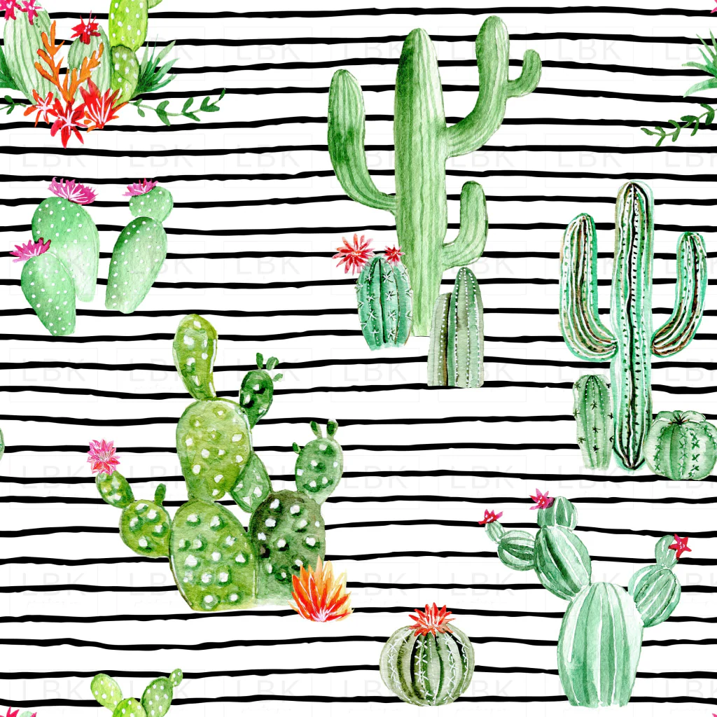 Cactus and Succulents on Black and White Stripes