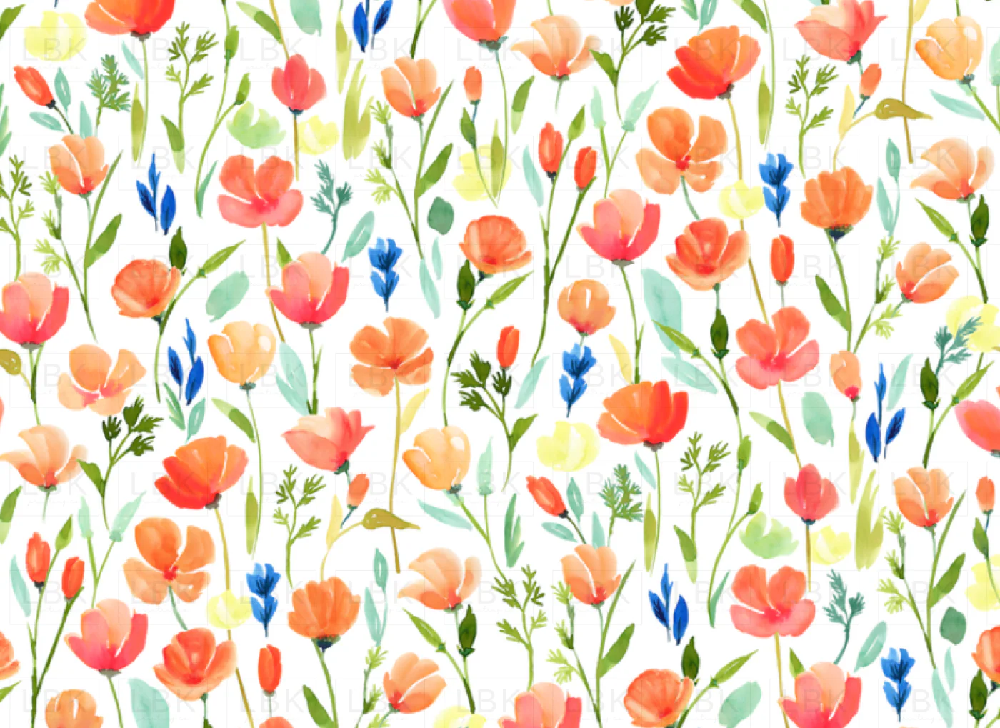 CALIFORNIA POPPY