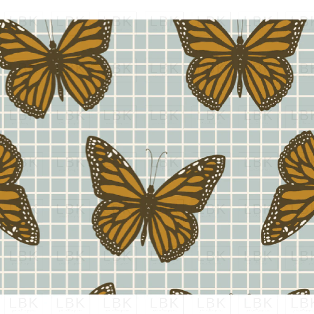 Catching butterflies