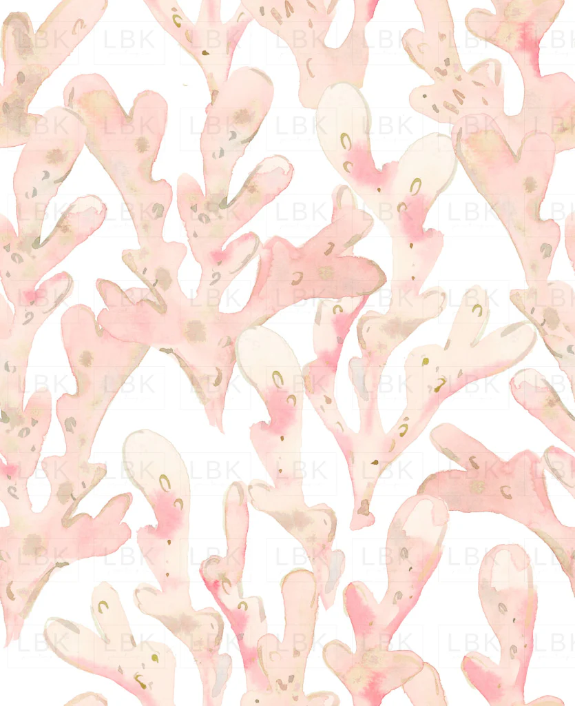 Coral in peach