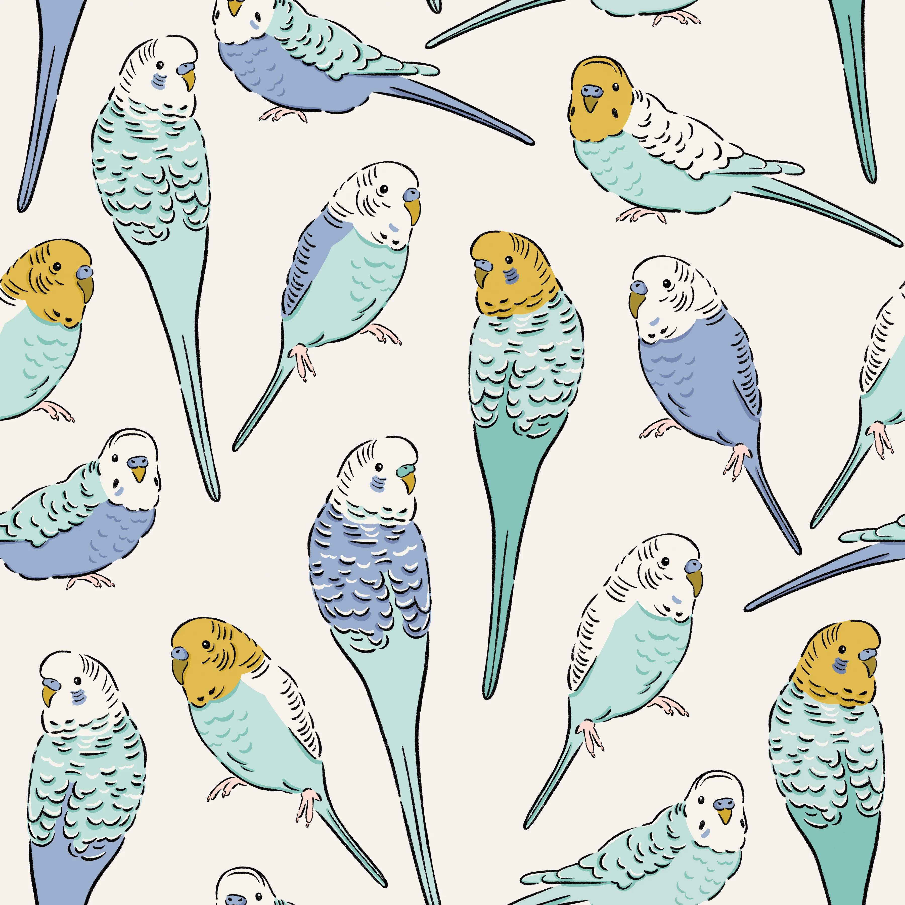 CR_PetShop_Parakeets_RGB