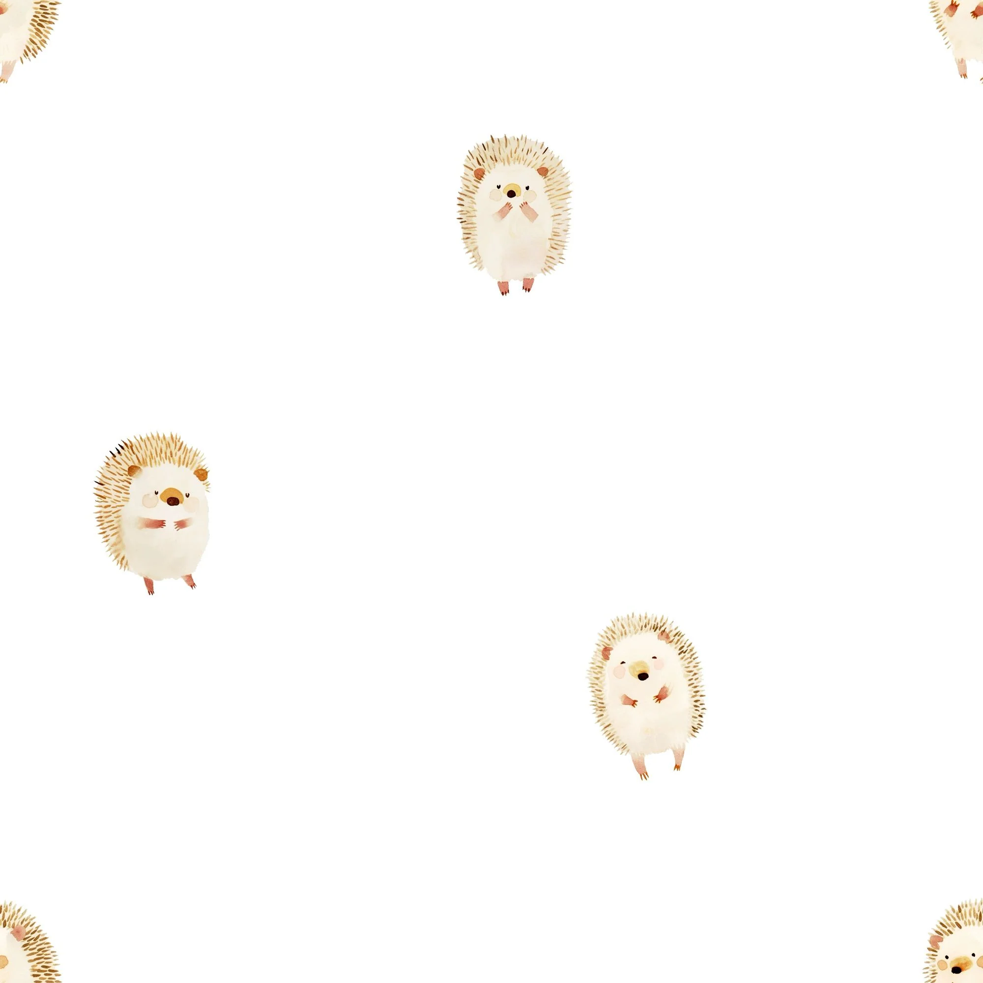 Cute Hedgehogs 01