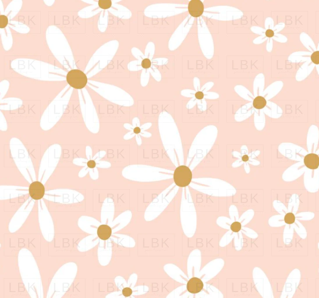 Daisies Pink