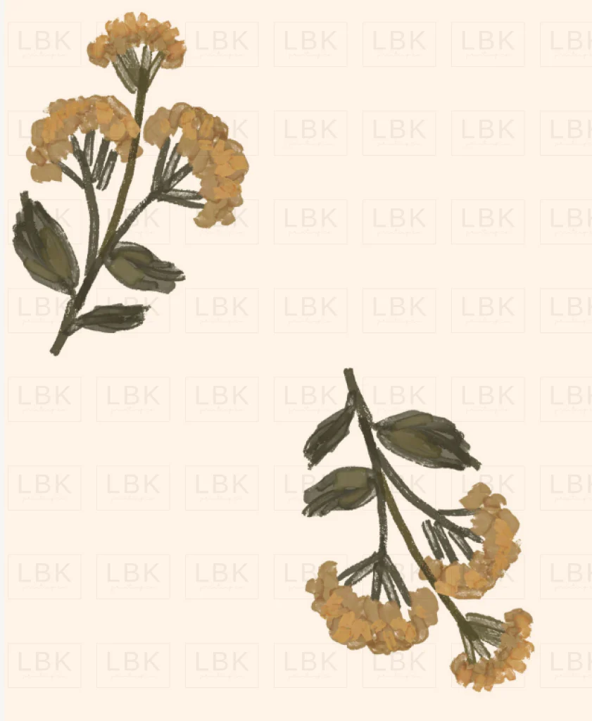 Dandelion in ivory