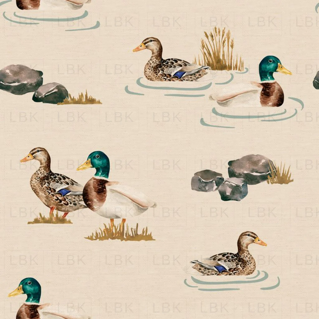 Ducks_Cream