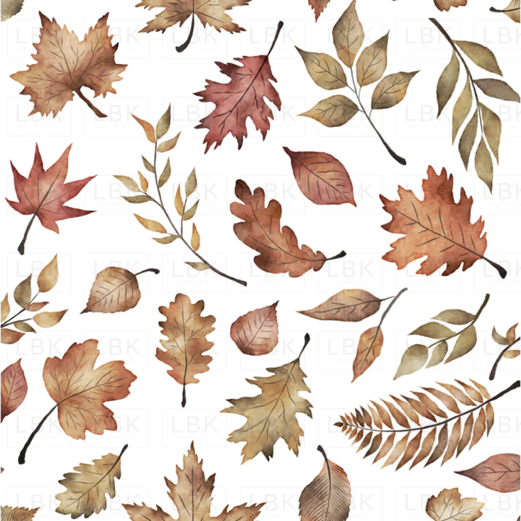 Fall Leaves