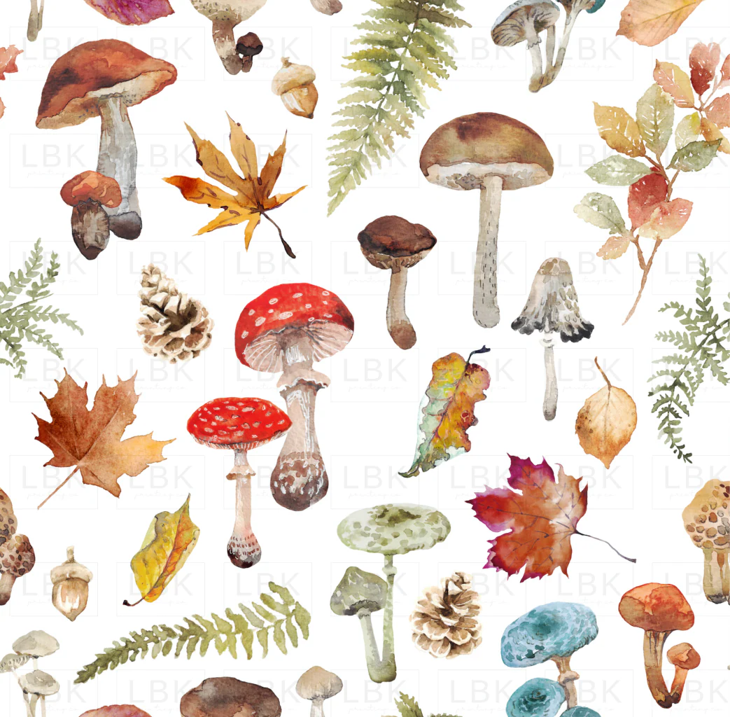 Fall Mushrooms