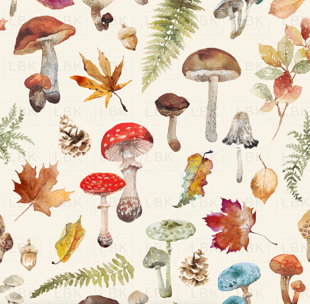 Fall Mushrooms on Cream