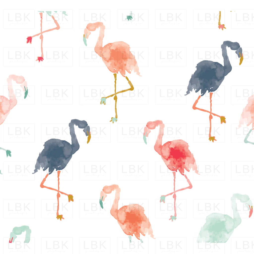 Flamingos