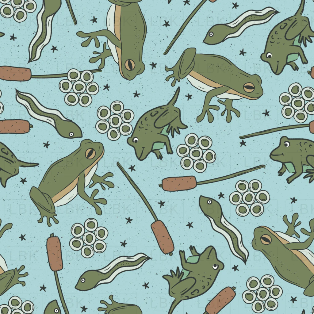 Frog Life Cycle