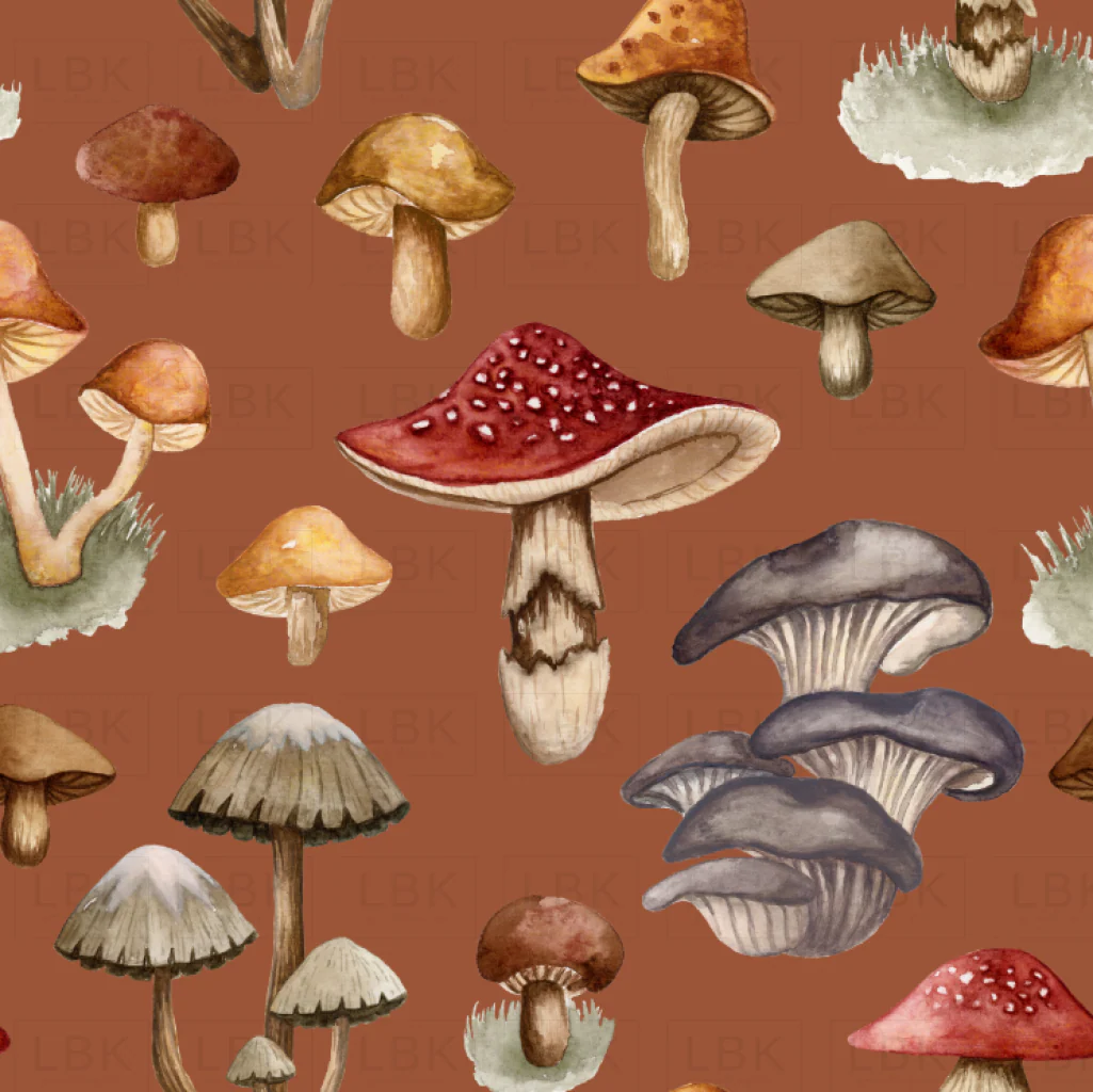 Fungi Fantasy Toasted Chestnut