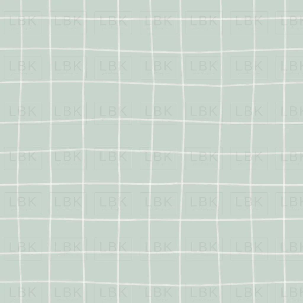 Gingham In Boho Blue