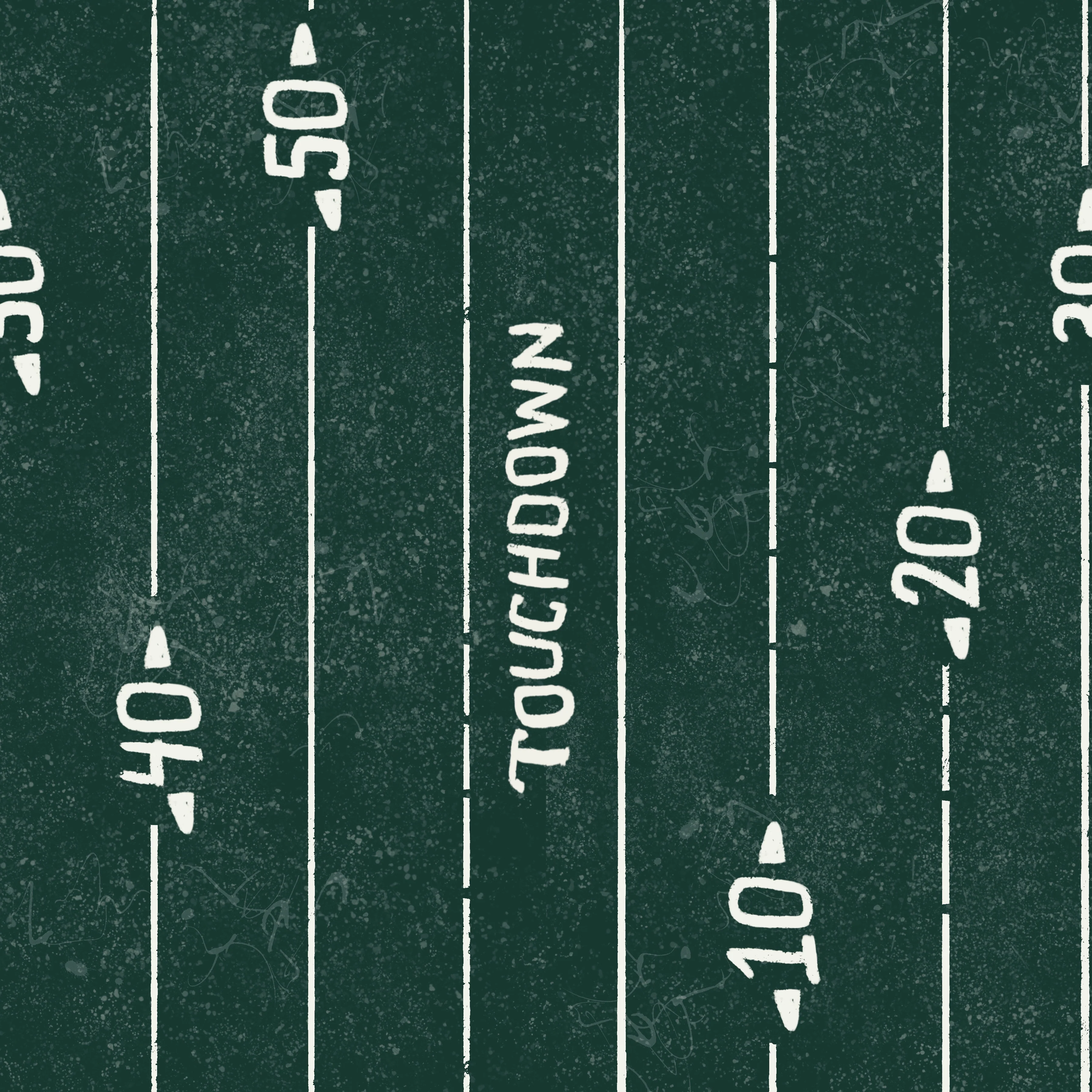 Green Bay touchdown stripe