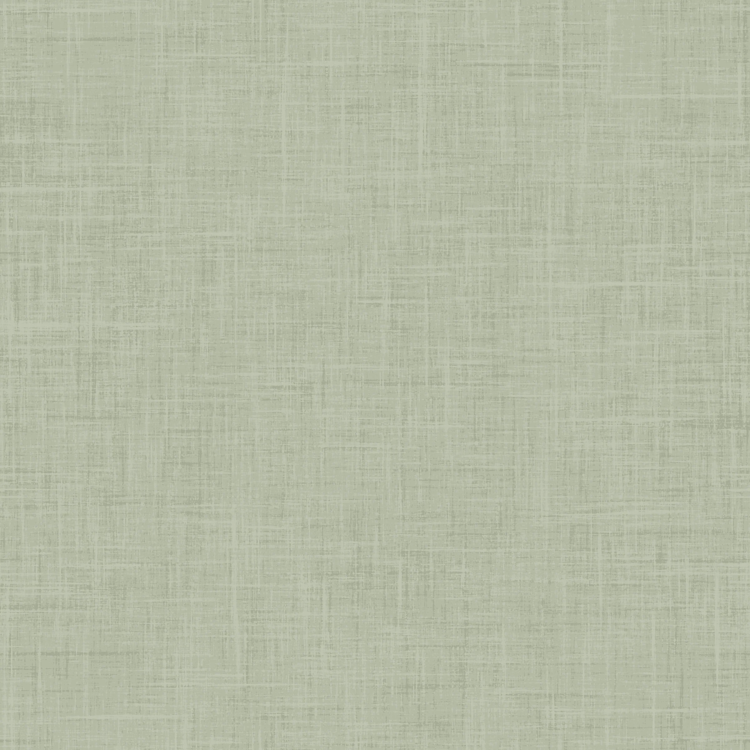 Holy Night Textured Solid Light Green