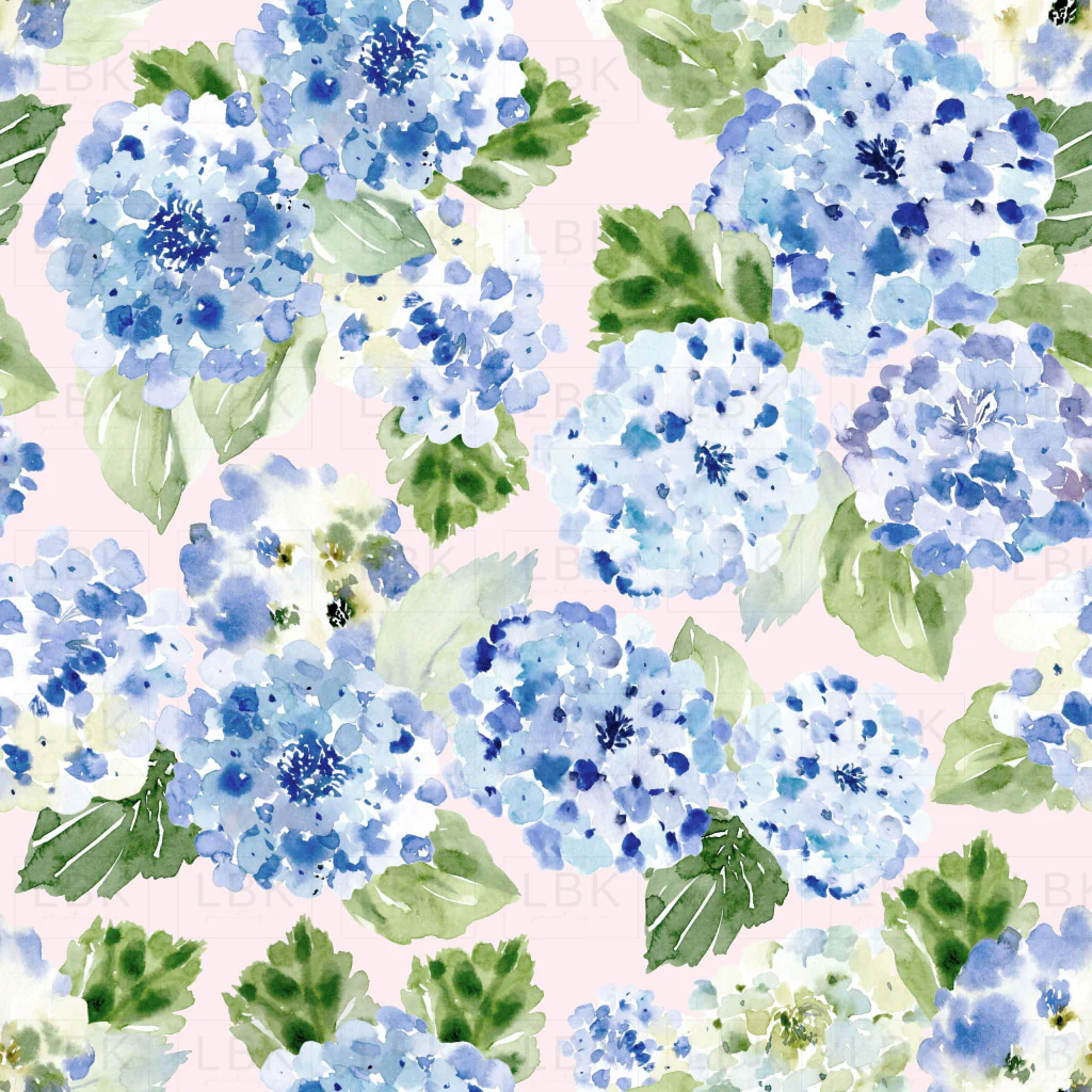 Hydrangea Watercolor Blue on Blush