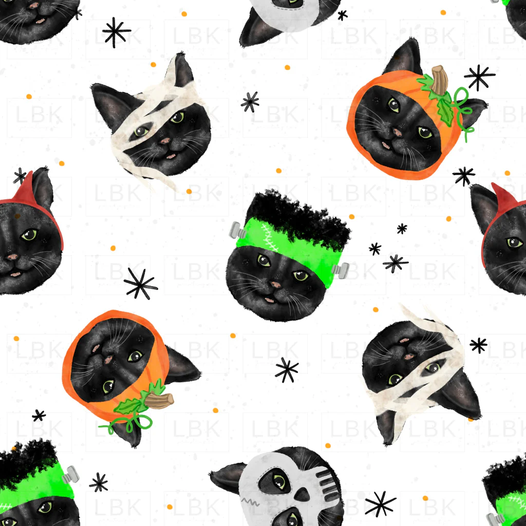 IMG_8540