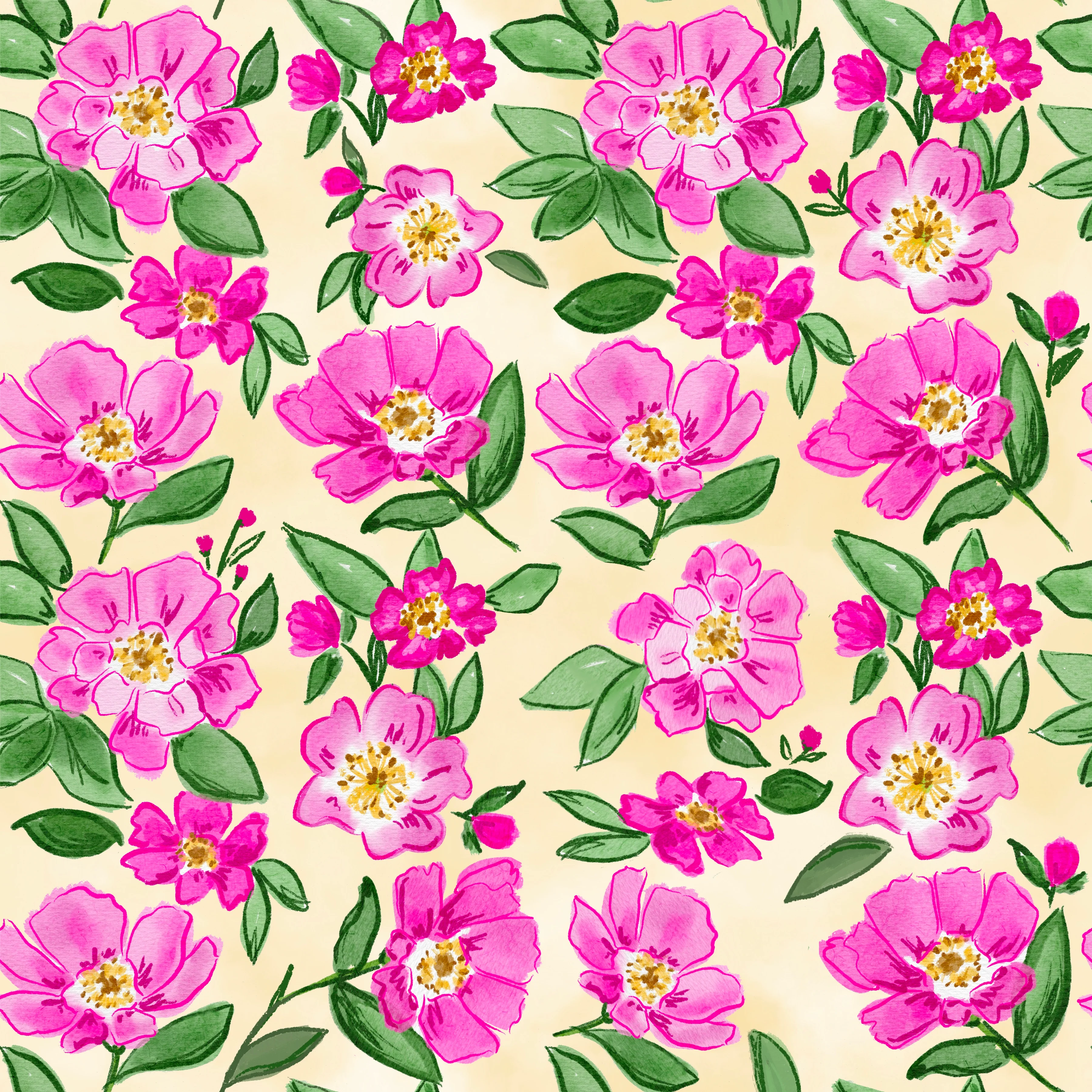 Iowawildrose