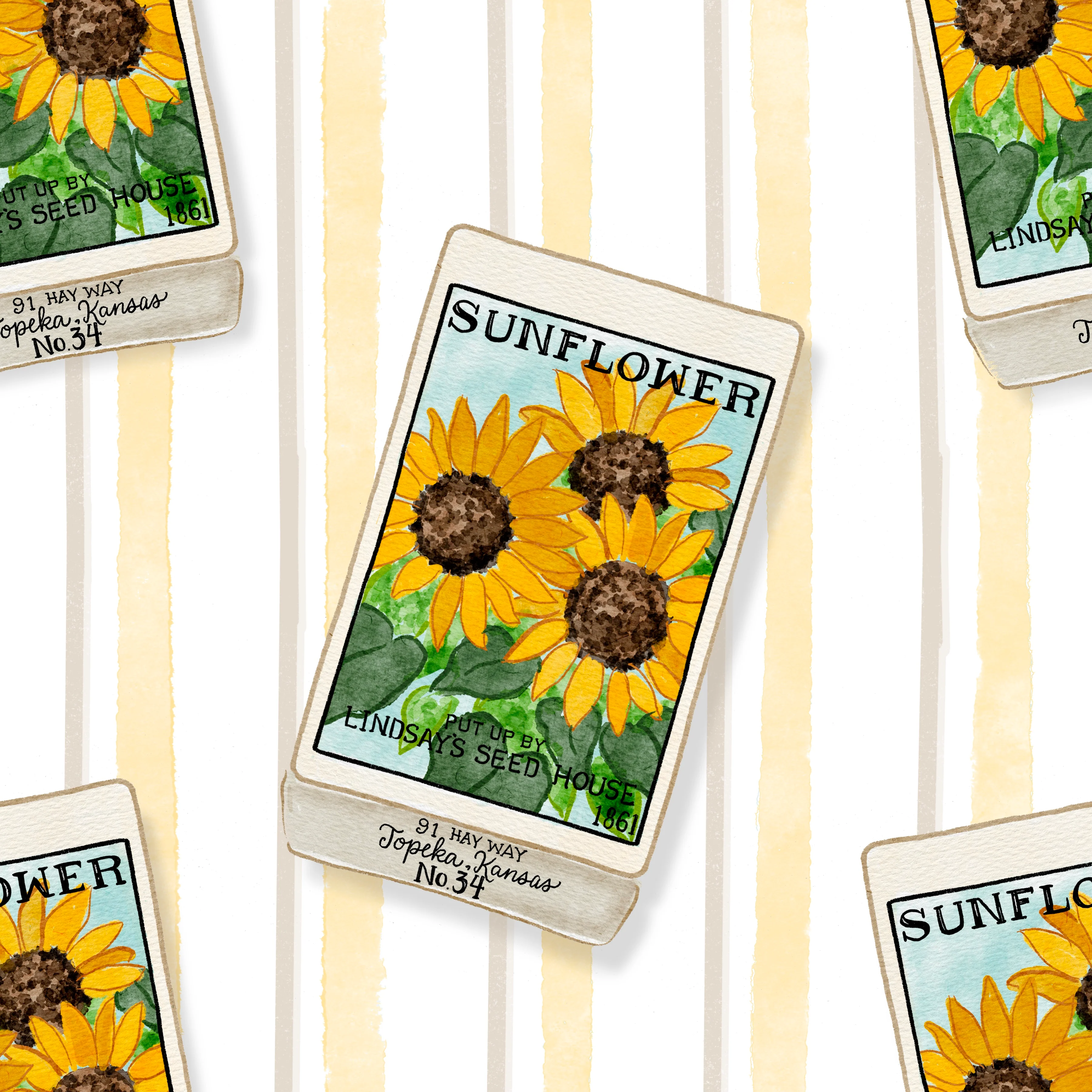 KSSunflowerseedpacket
