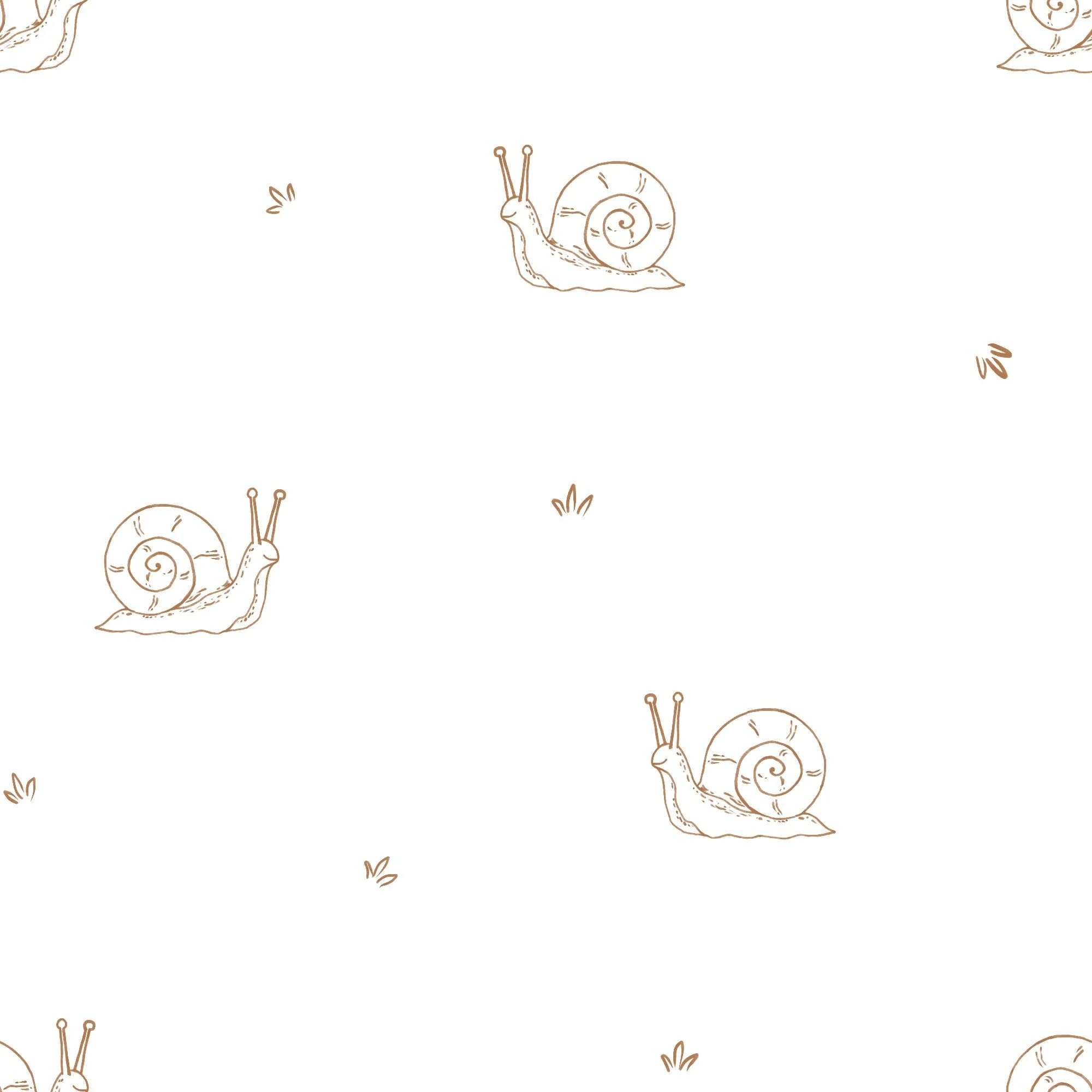 Little Snail 01