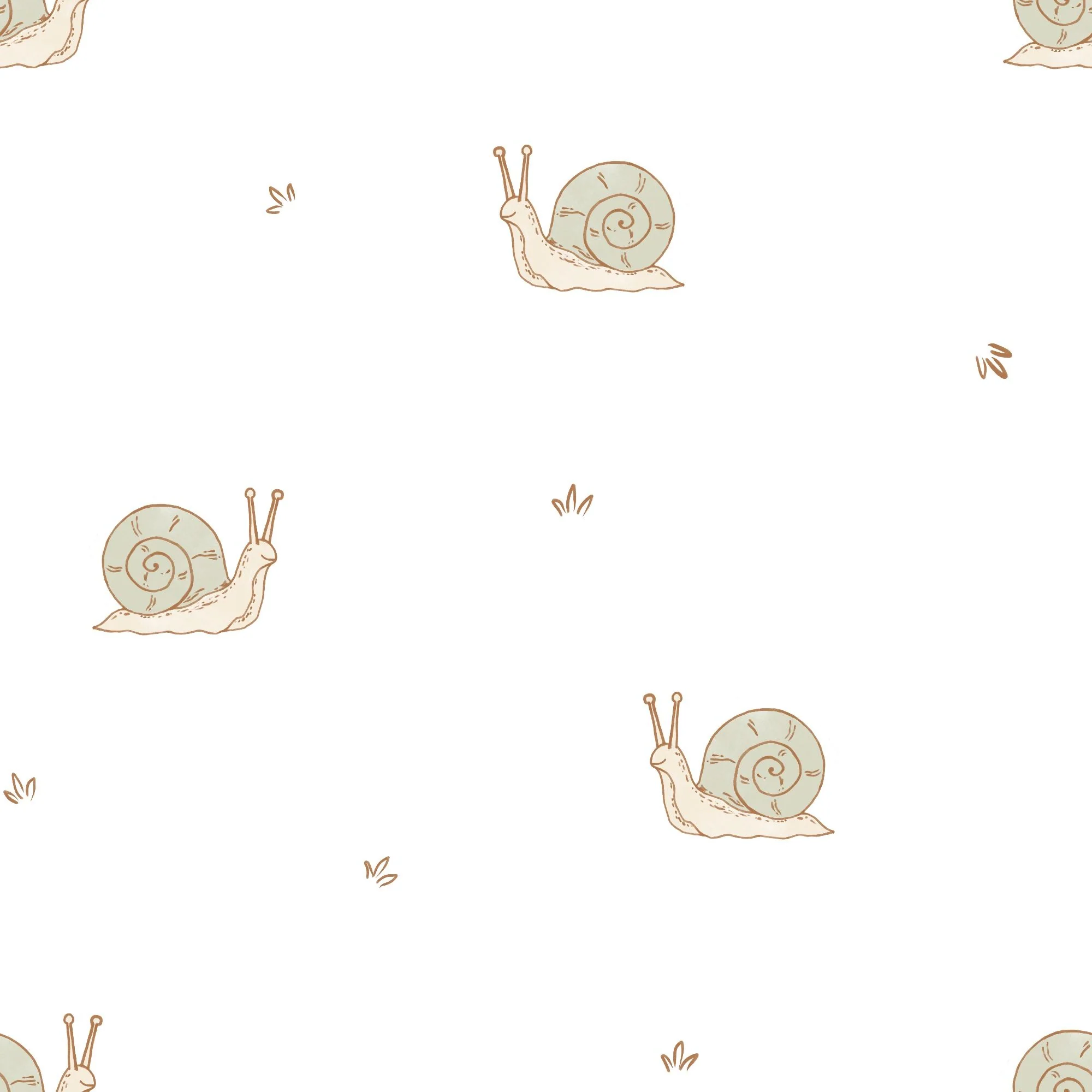 Little Snail 05