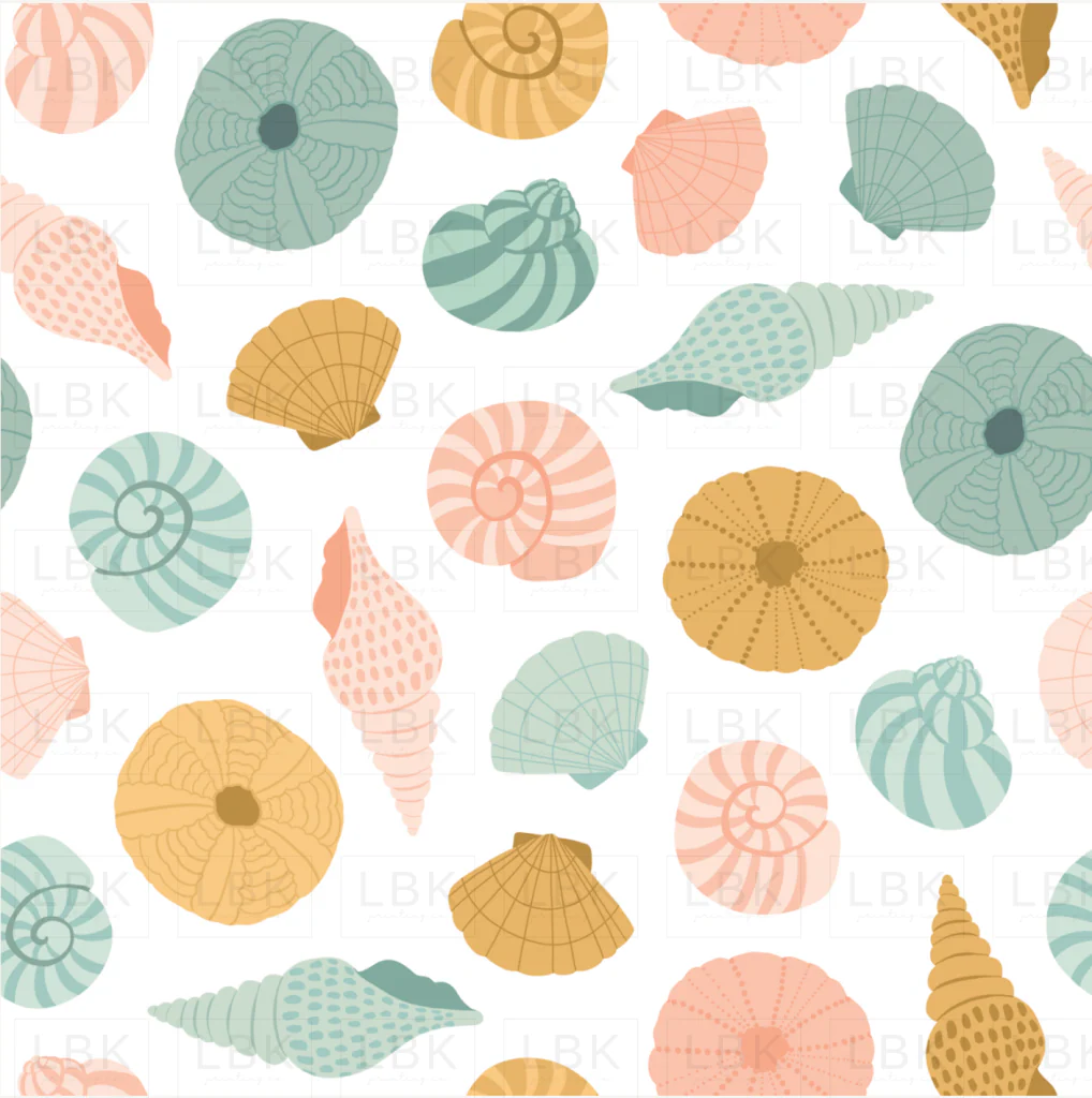 MermaidMuse_Shells