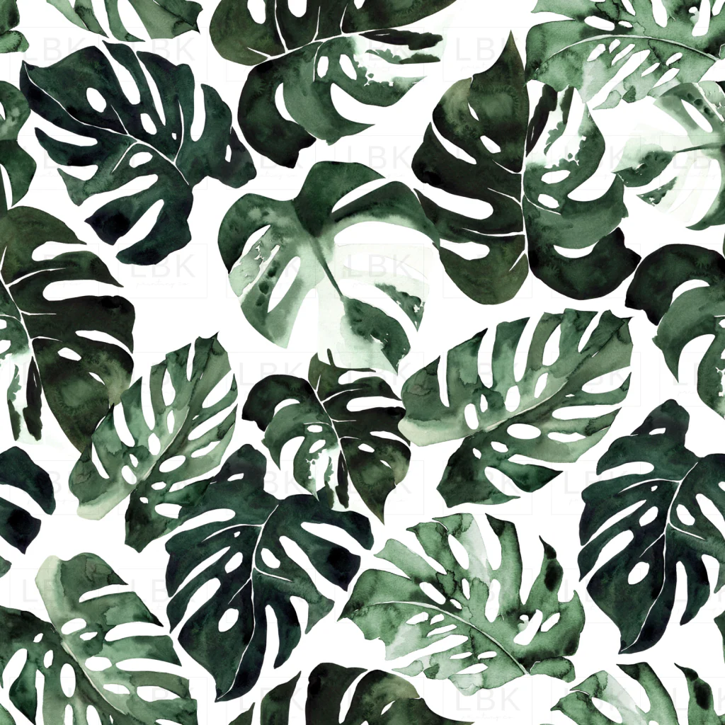 Monstera Tropical Leaves