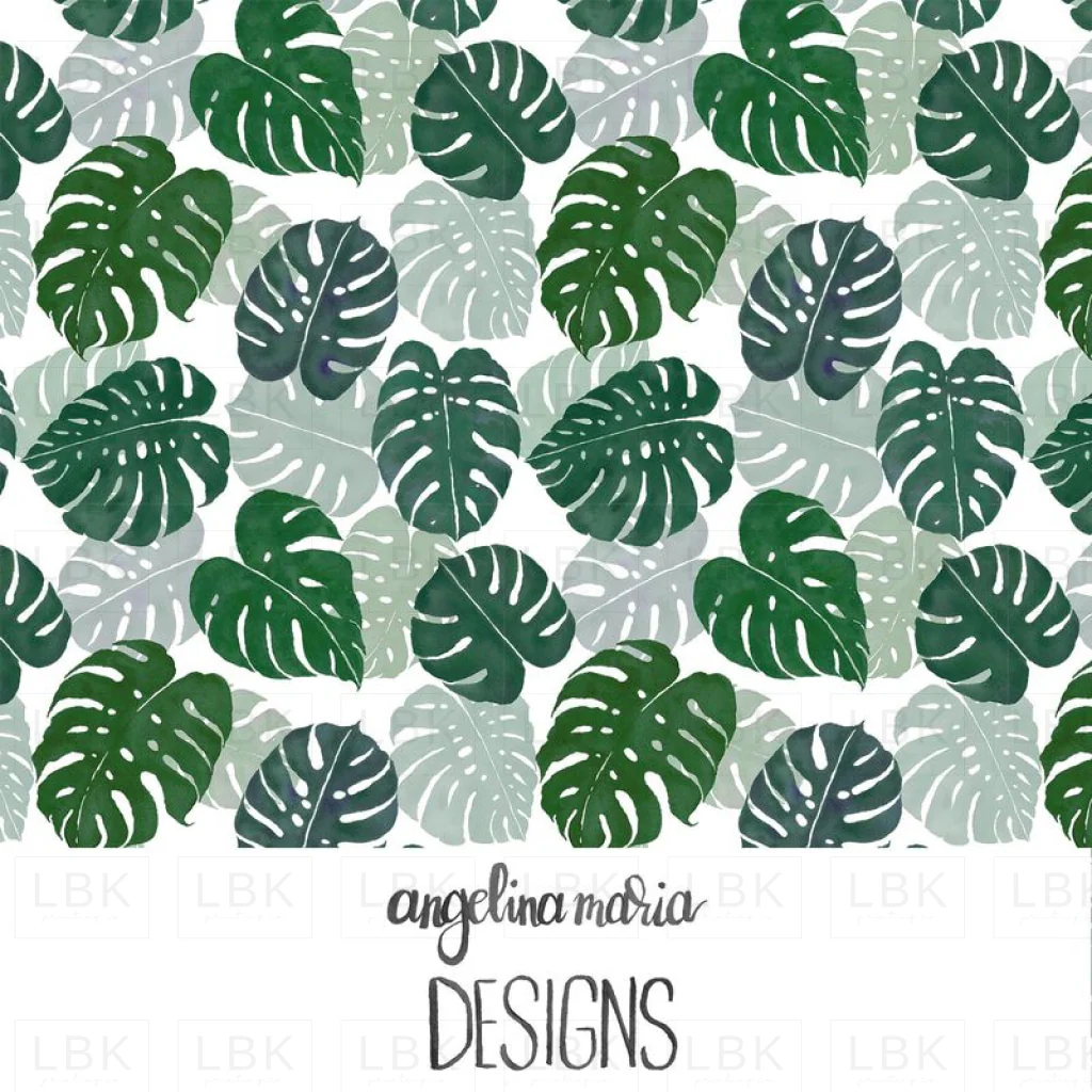 Moody Monstera Madness