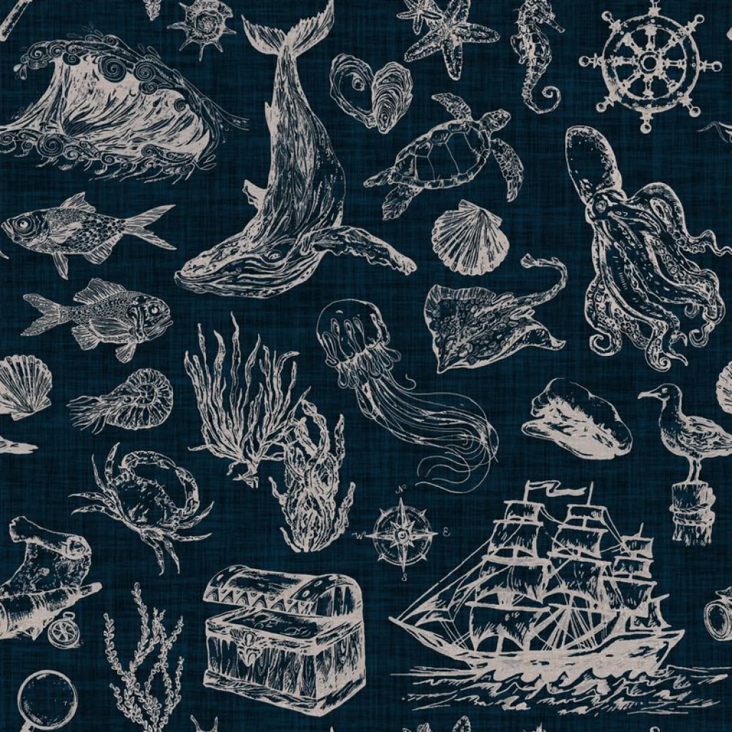 Old Seas on Navy