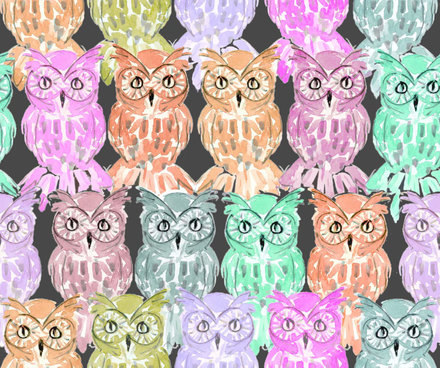 owlsnight