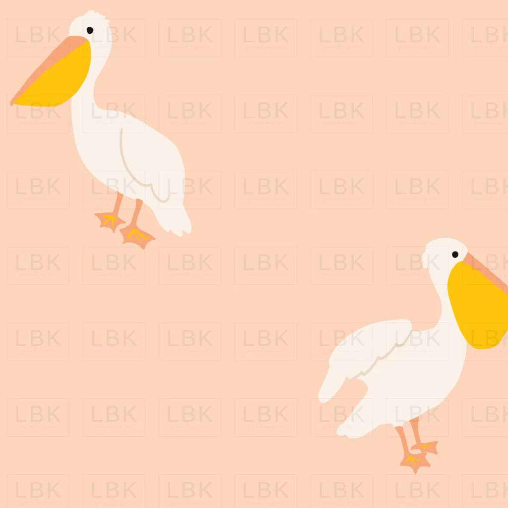Pelican in Blush