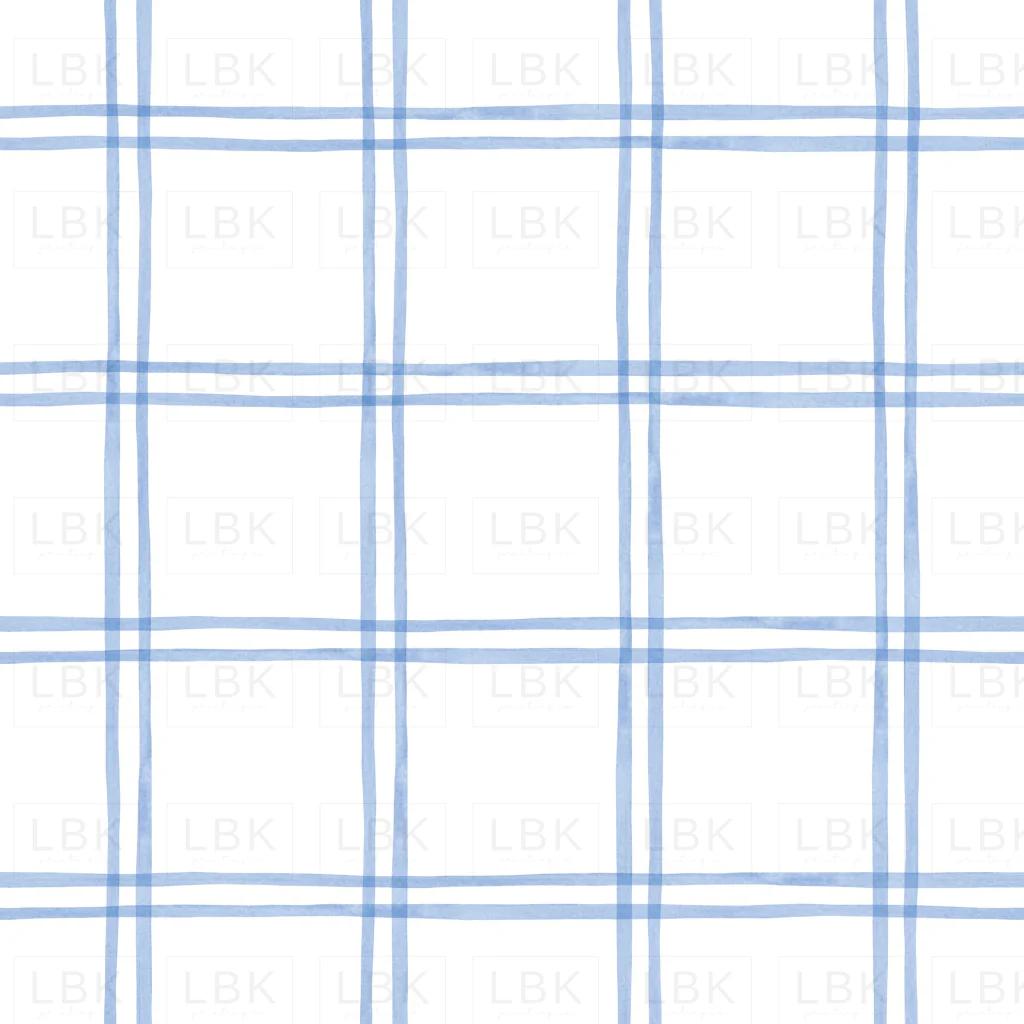 Plaid Small Blue