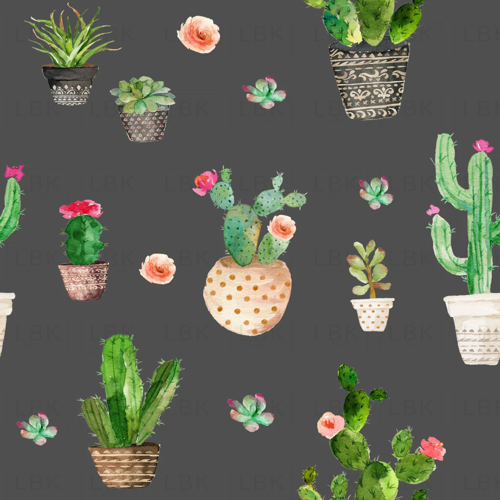 Potted Succulents on Gray