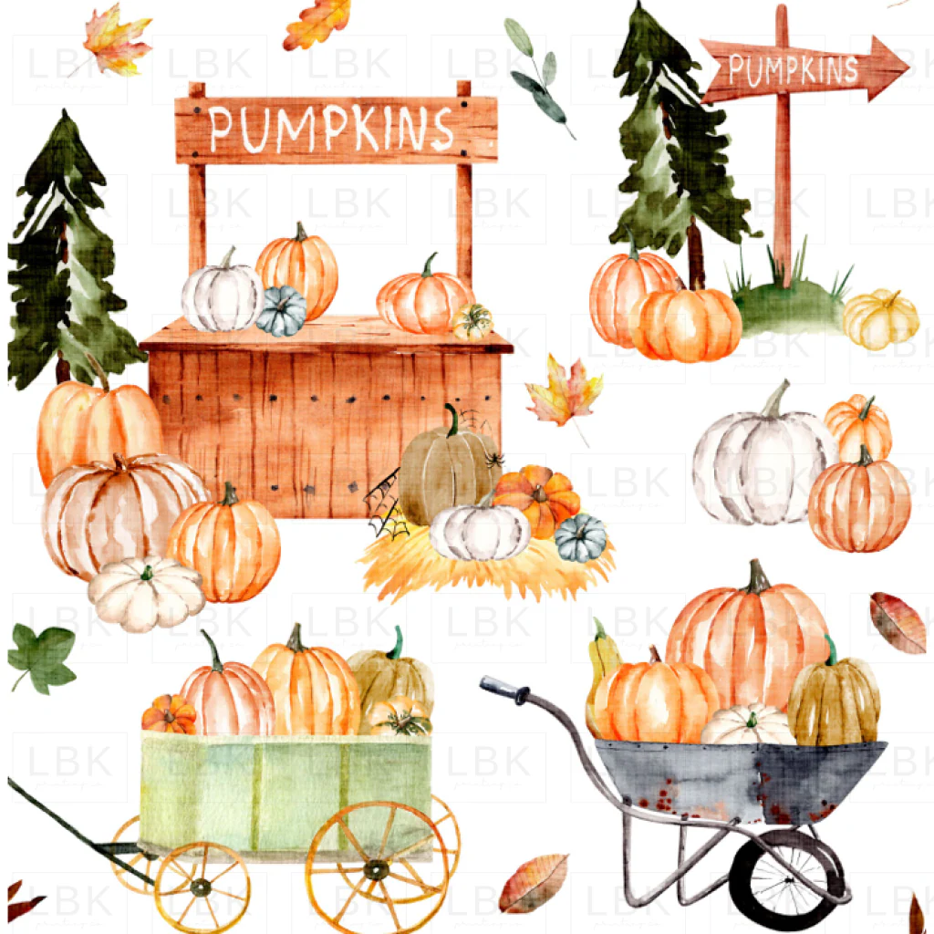 Pumpkin Patch