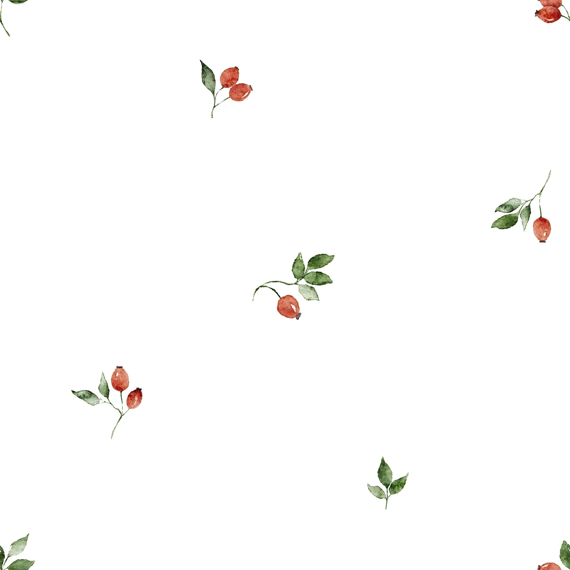 Rose Hips