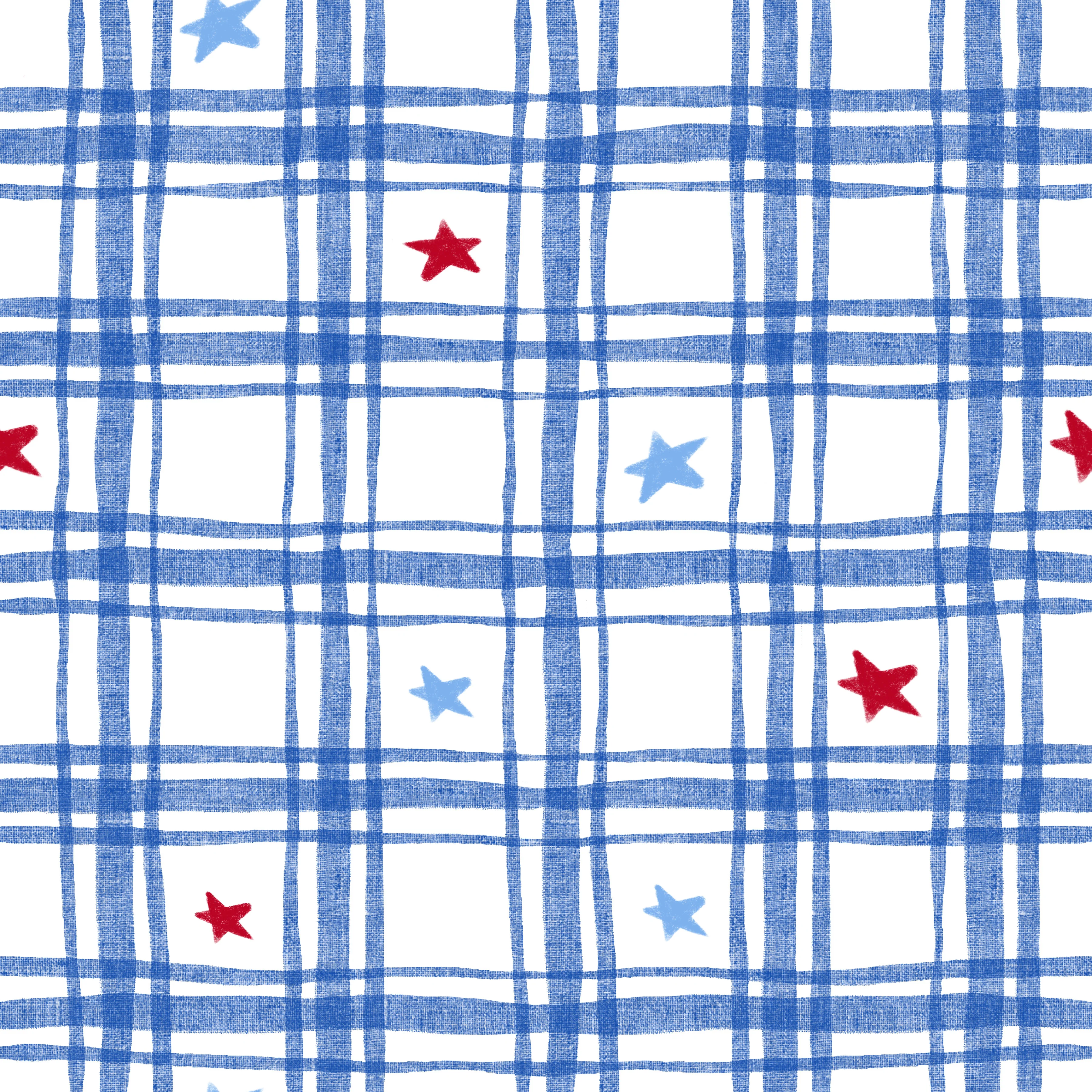 RWB Linen Gingham and Stars