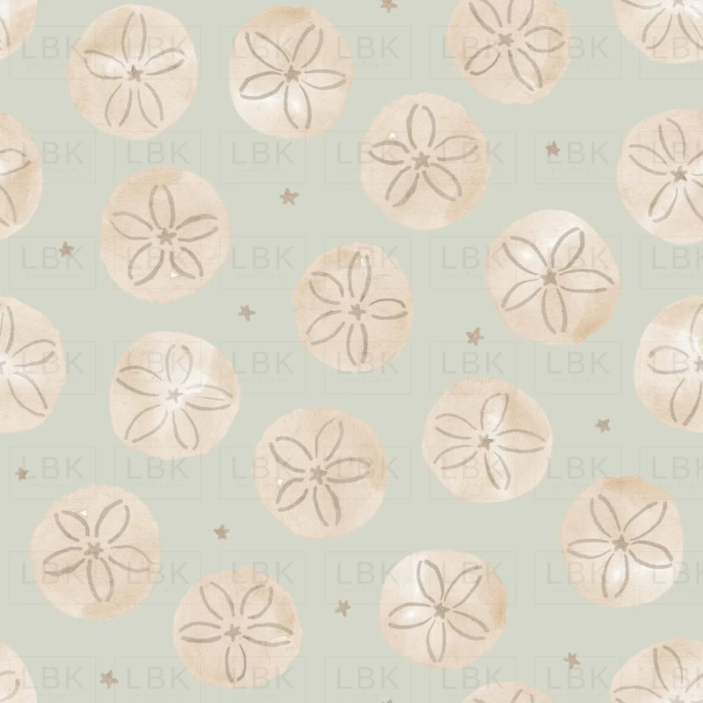 sanddollar - seafoam green