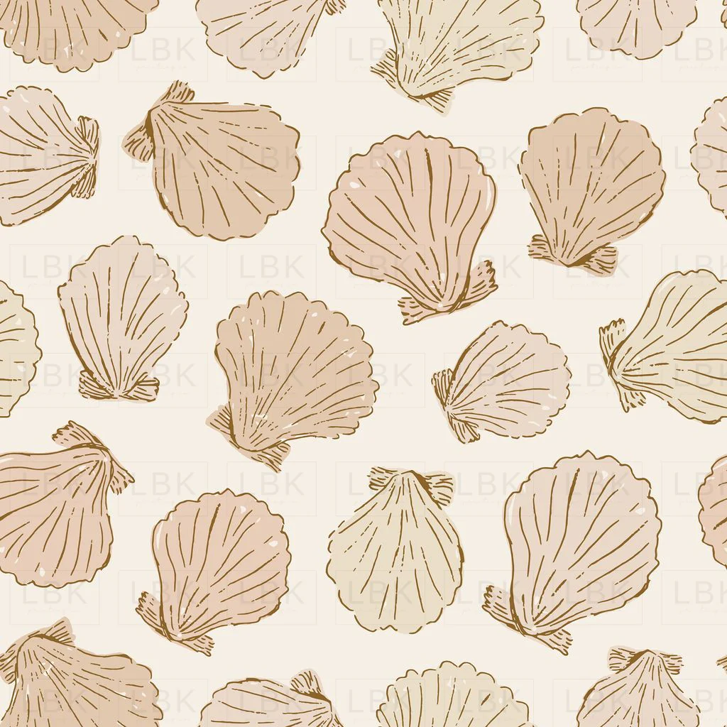 shells