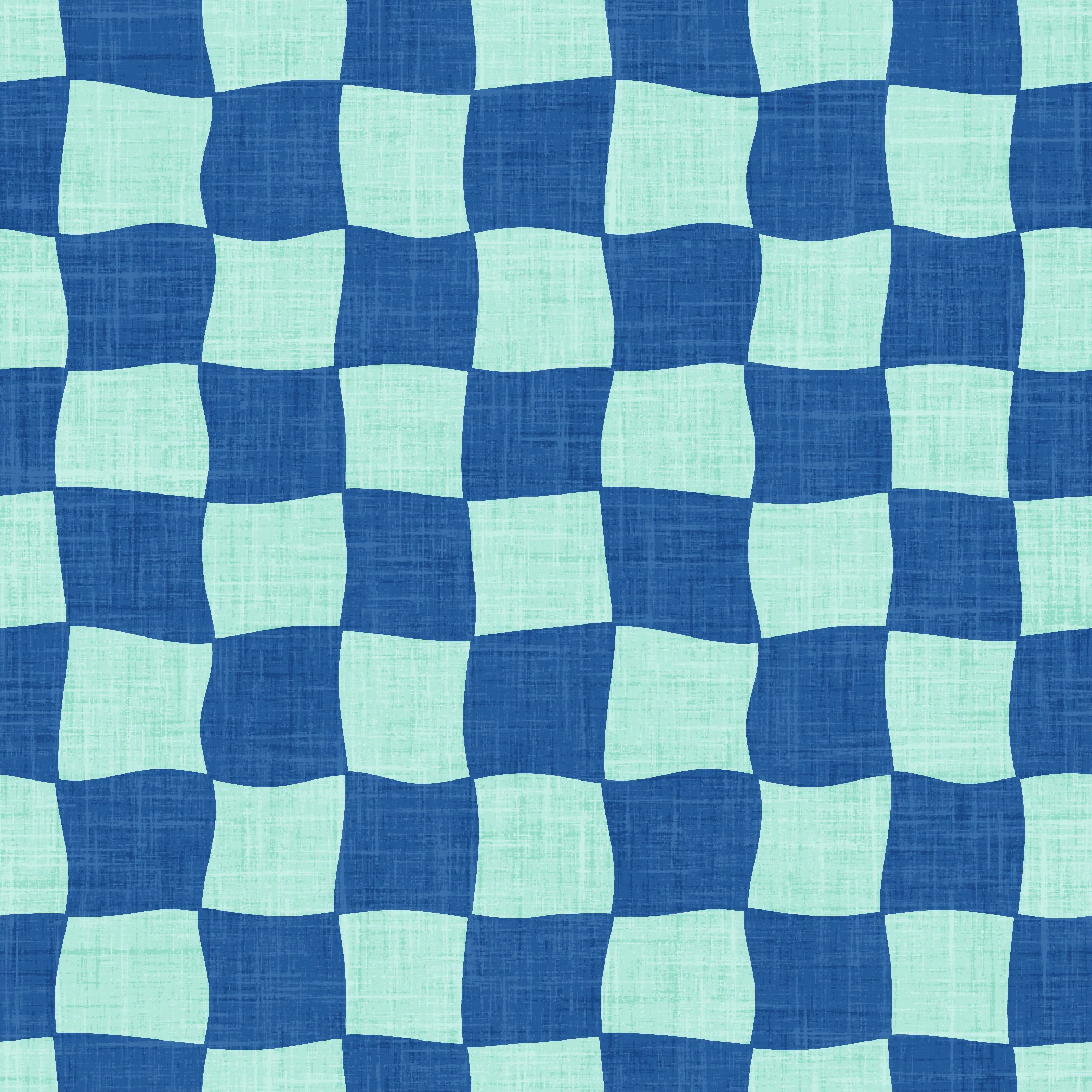 Skate Park Funky Check Cobalt