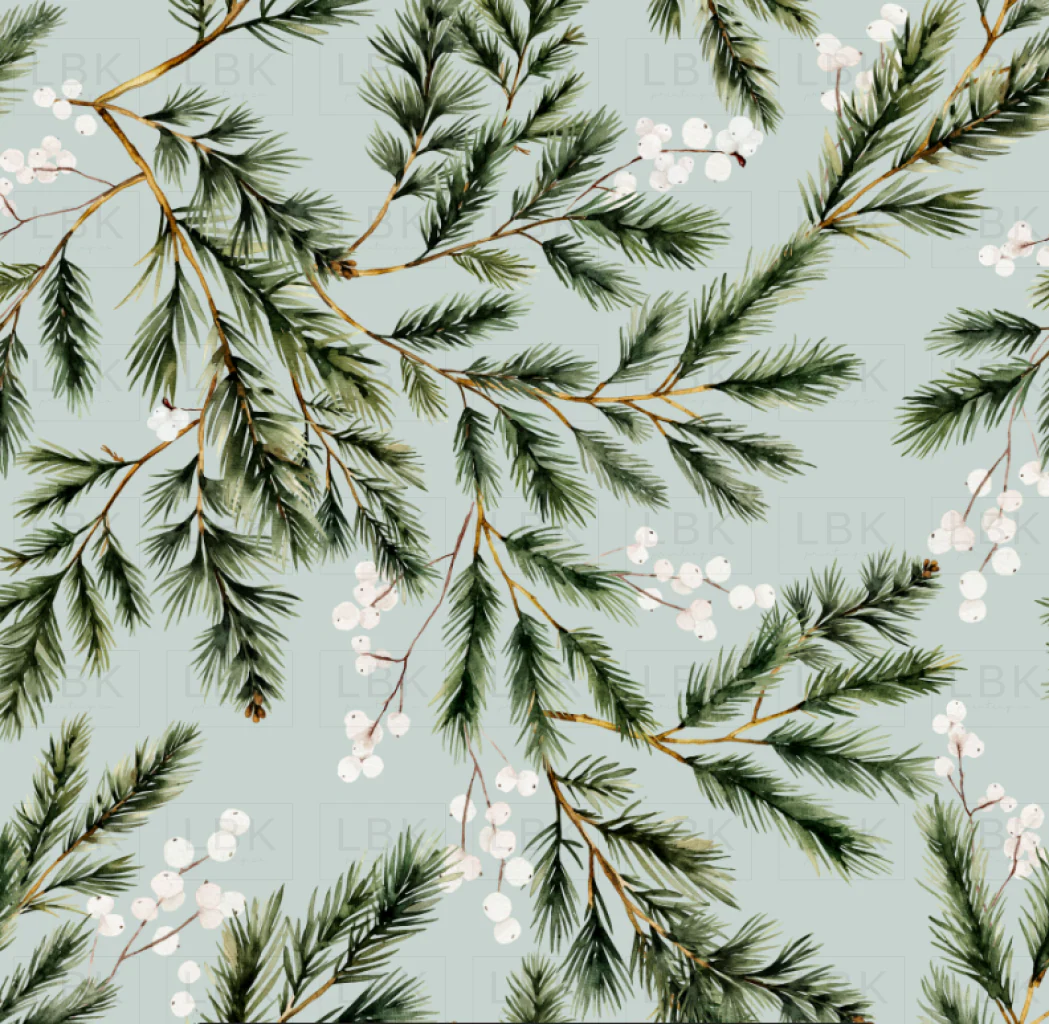 Snowberry Winter Foliage on Powder Ash
