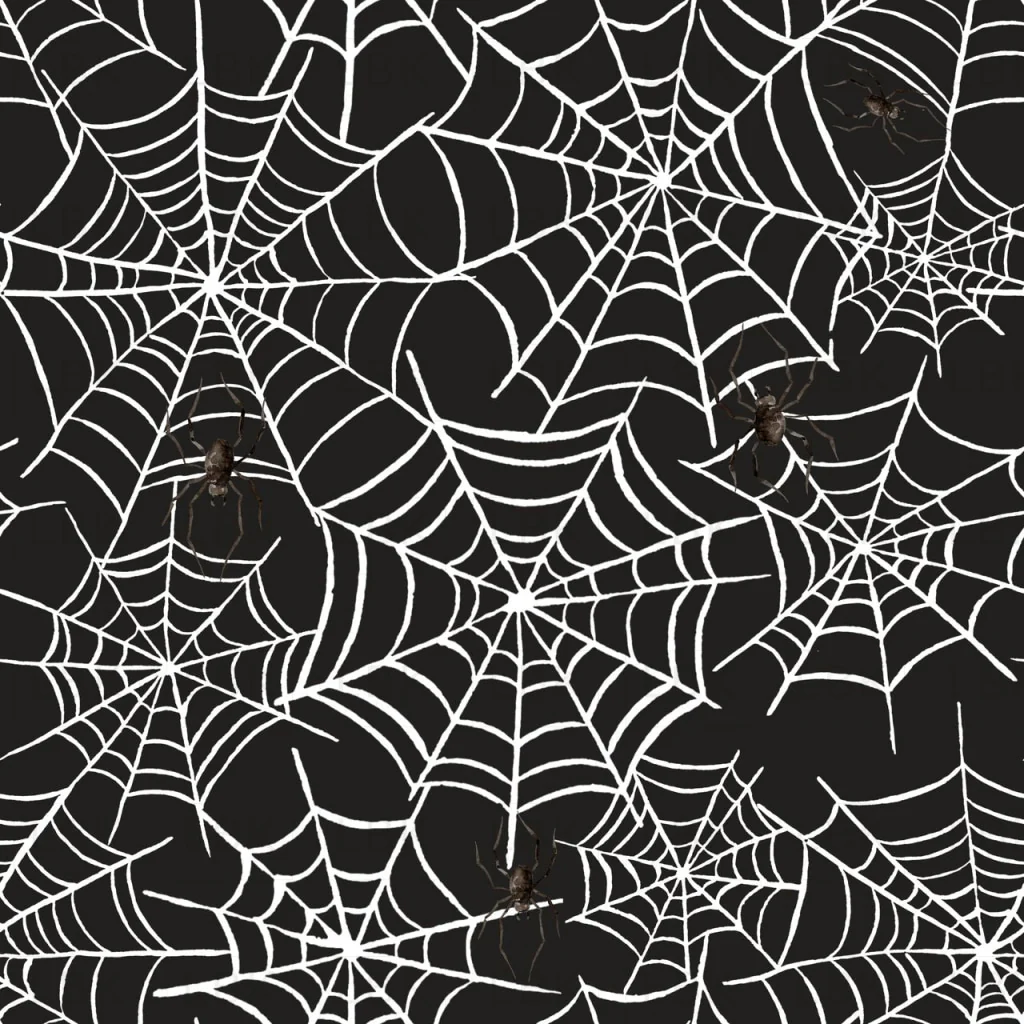 Spider Web Halloween on Black