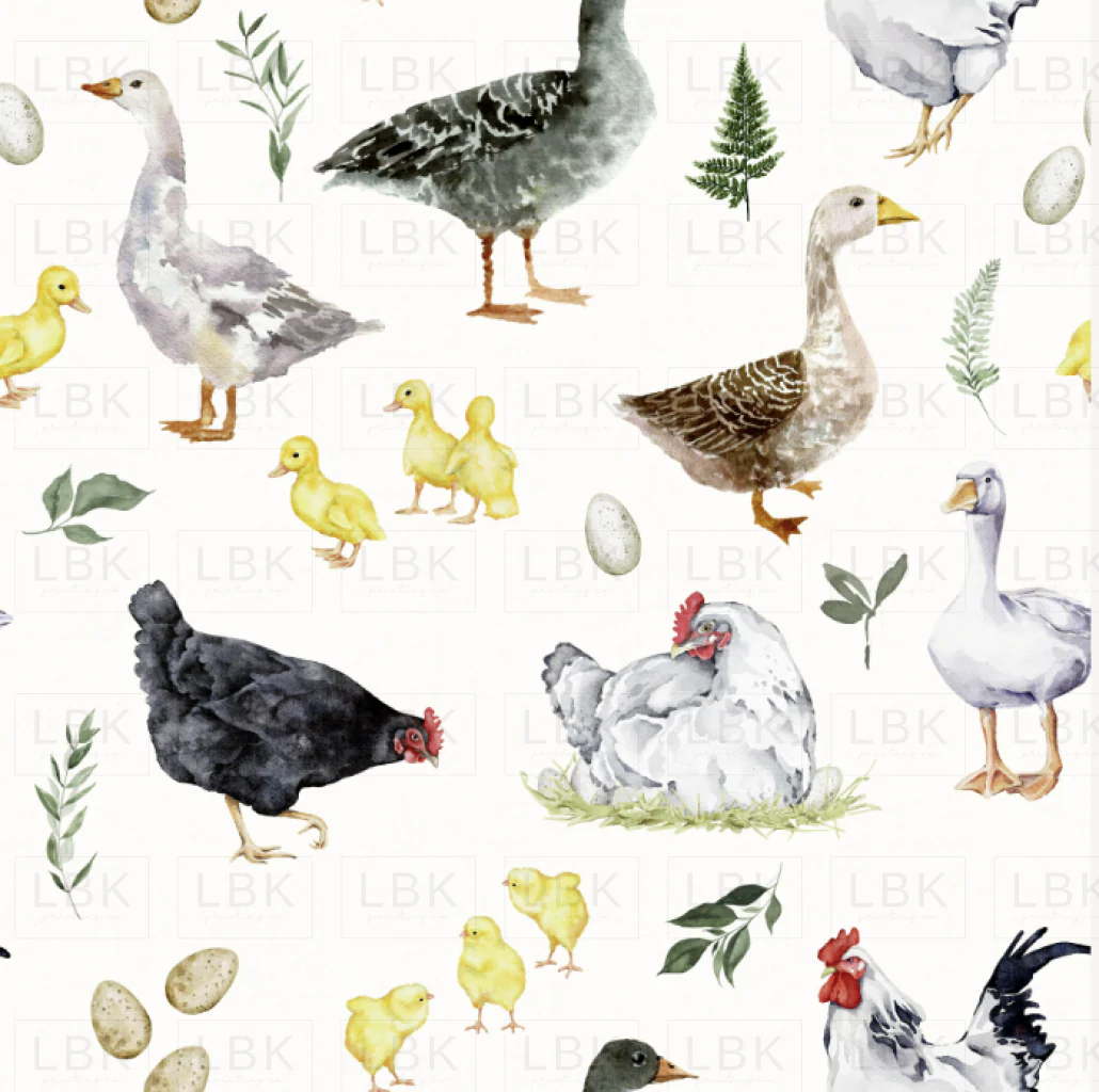 Springtime Chickens and Ducks