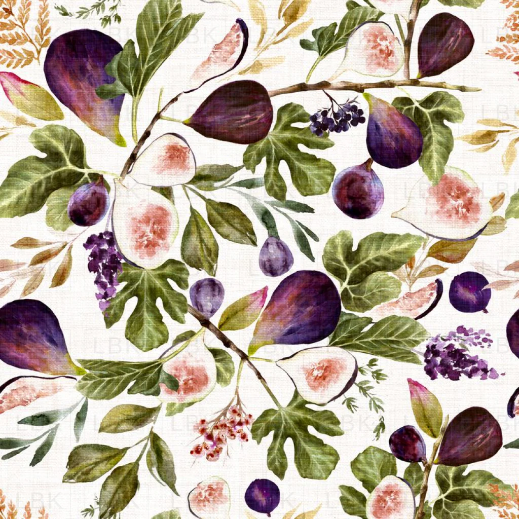 Summer Figs and Leaves Botanical