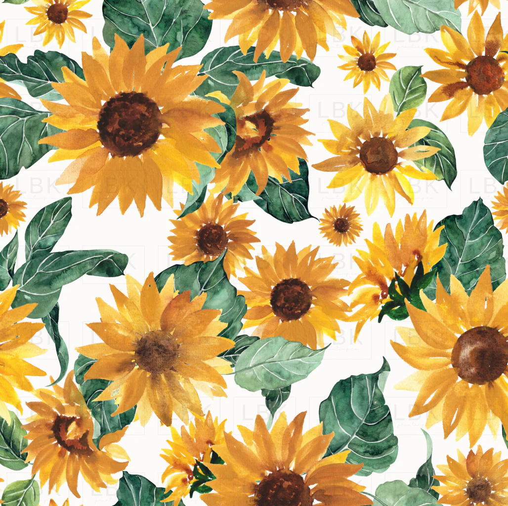 Sunflower Dreams