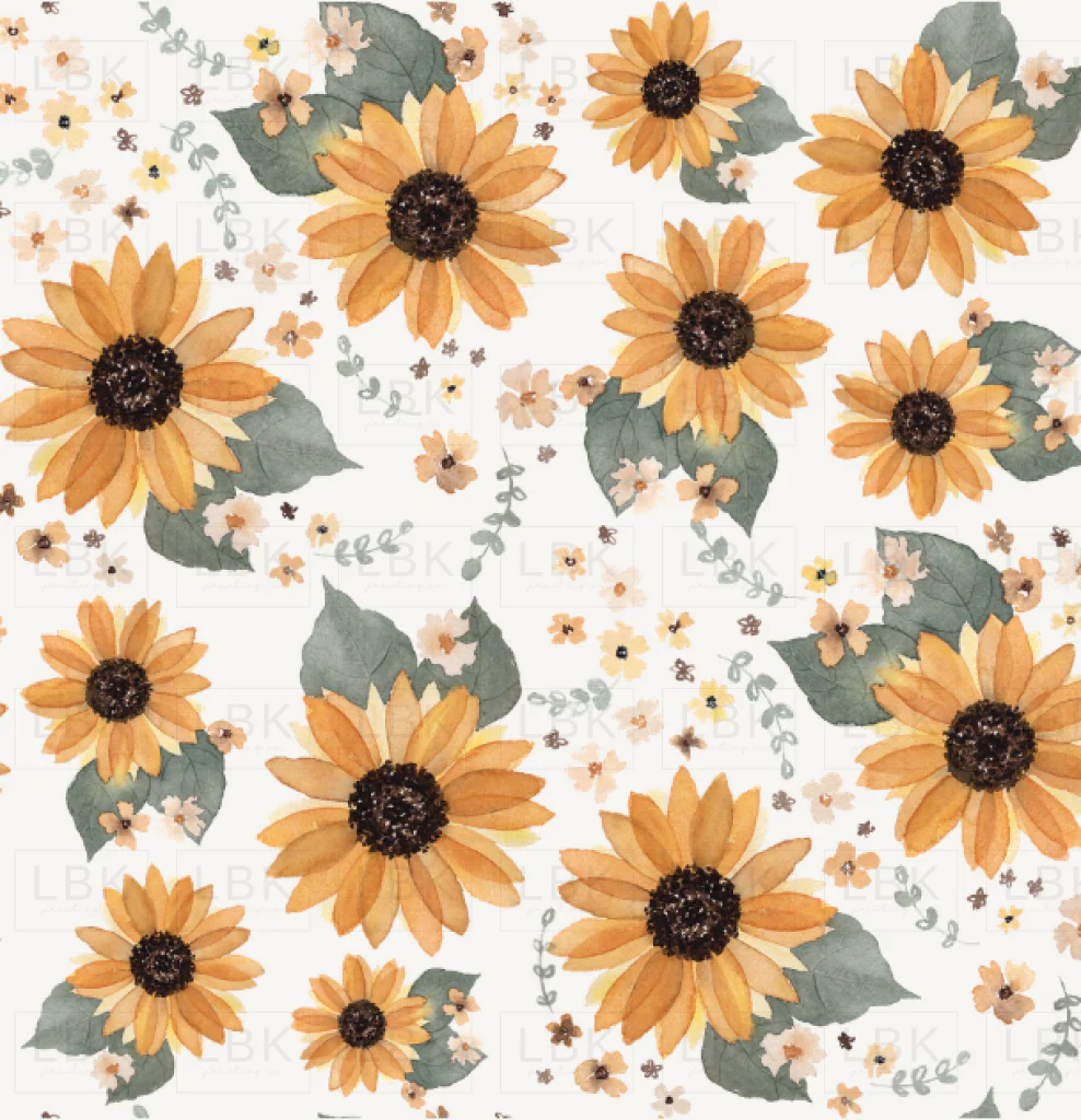 sunflowers white